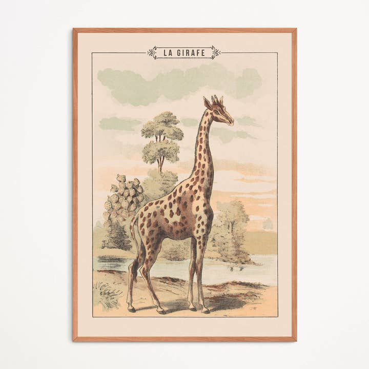 Poster: Giraffe für den Großhandel von Aster Edition