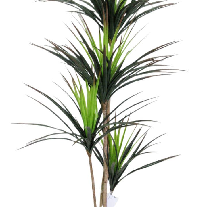 Seasonal LLC - Wholesale Artificial Plant - Artificial Potted Dracaena Marginata Tree 67in5