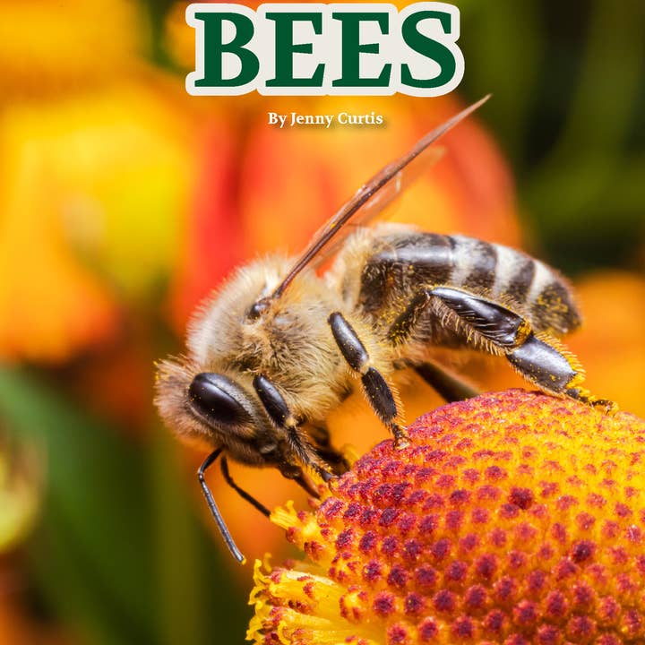 Wildlife Tree - Wholesale Book - Kids - Bees: edZOOcation Zoologist Paperback Book