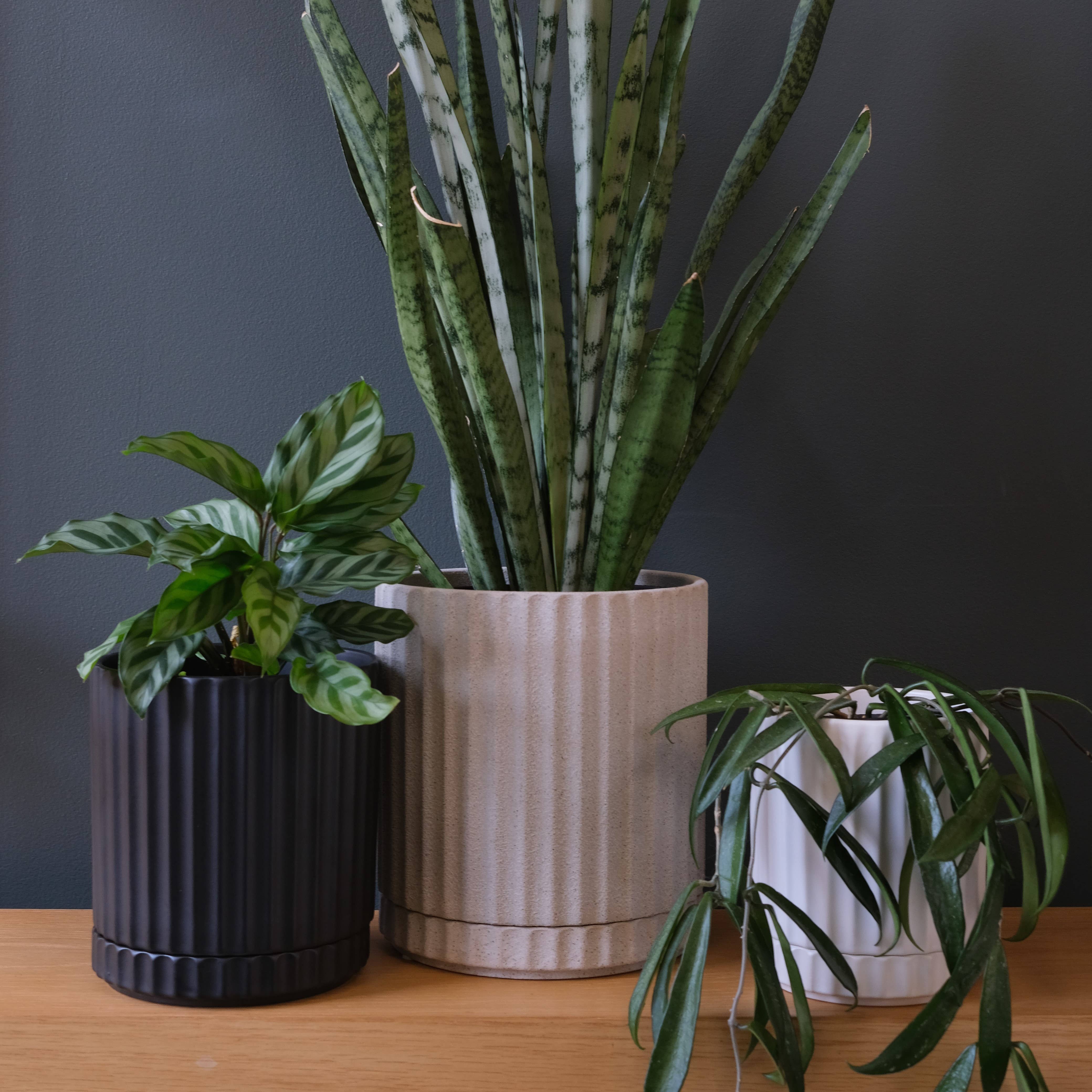 Potted - Wholesale Plant pot - Small Athens Planter Sand1