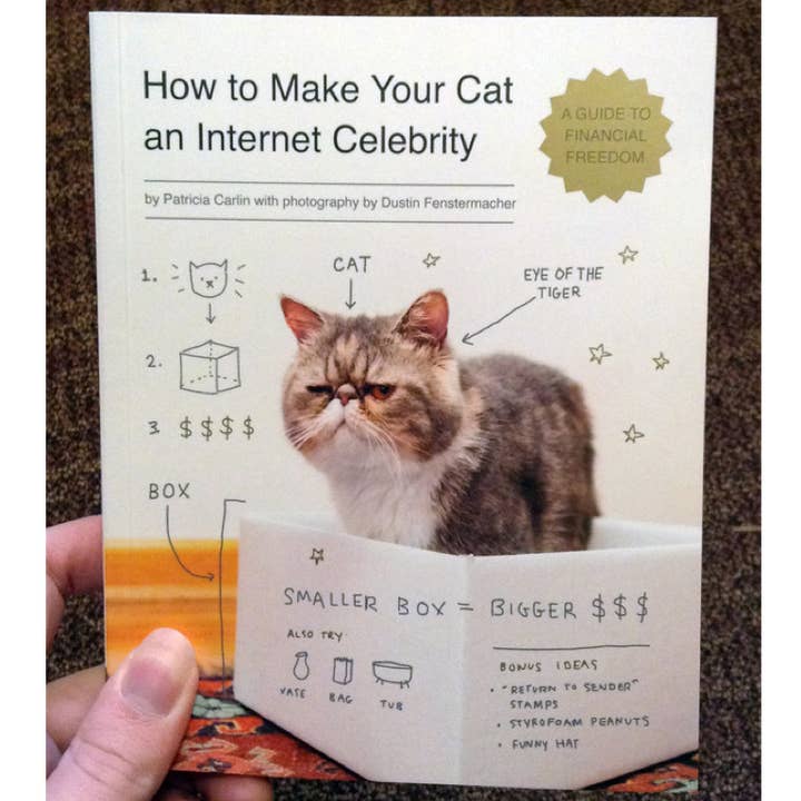 How to Make Your Cat an Internet Celebrity for wholesale by Microcosm Publishing & Distribution
