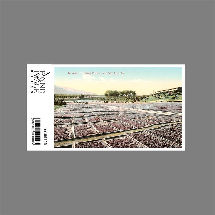 Found Image Press - Wholesale Sticker - Sticker BA-262 Acres of Drying Prunes1