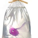 Just Bubbly - Wholesale Bar Soap - My Pet Fish®