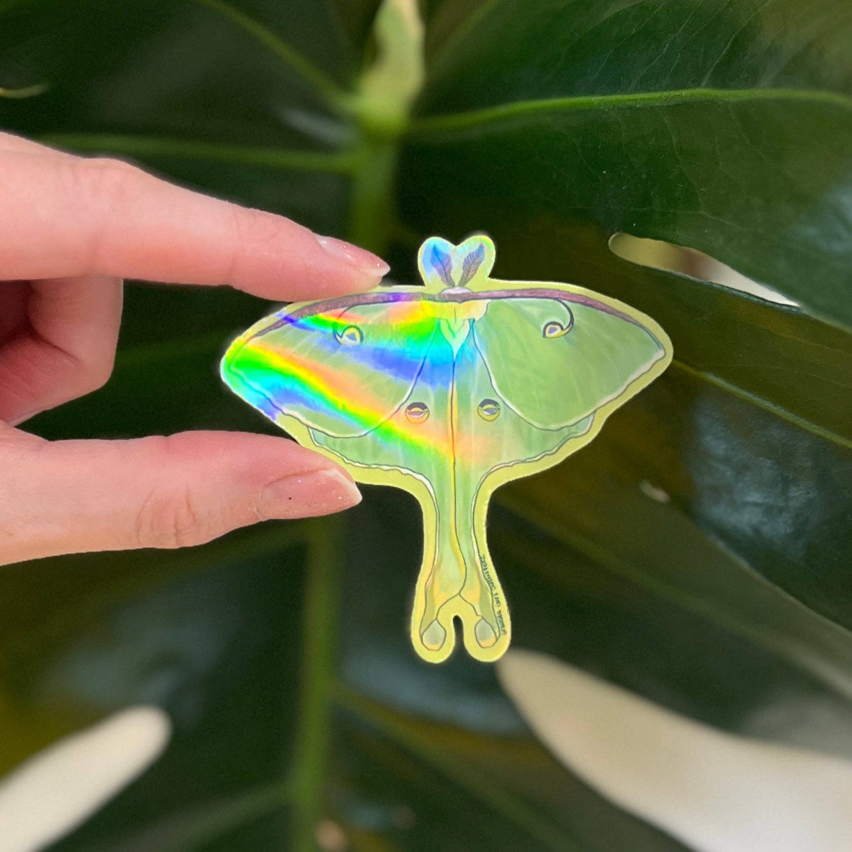 Granola Girl Outfitters - Wholesale Sticker - Holographic Luna Moth Sticker - Light-weight / Indoor: πΏπ