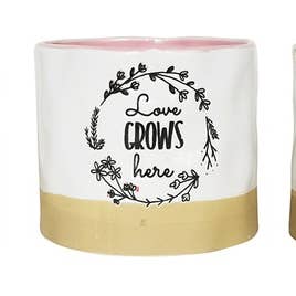 Cache-pots "L'amour grandit ici" 5", 3 couleurs assorties pour la vente par Blue Sky Clayworks