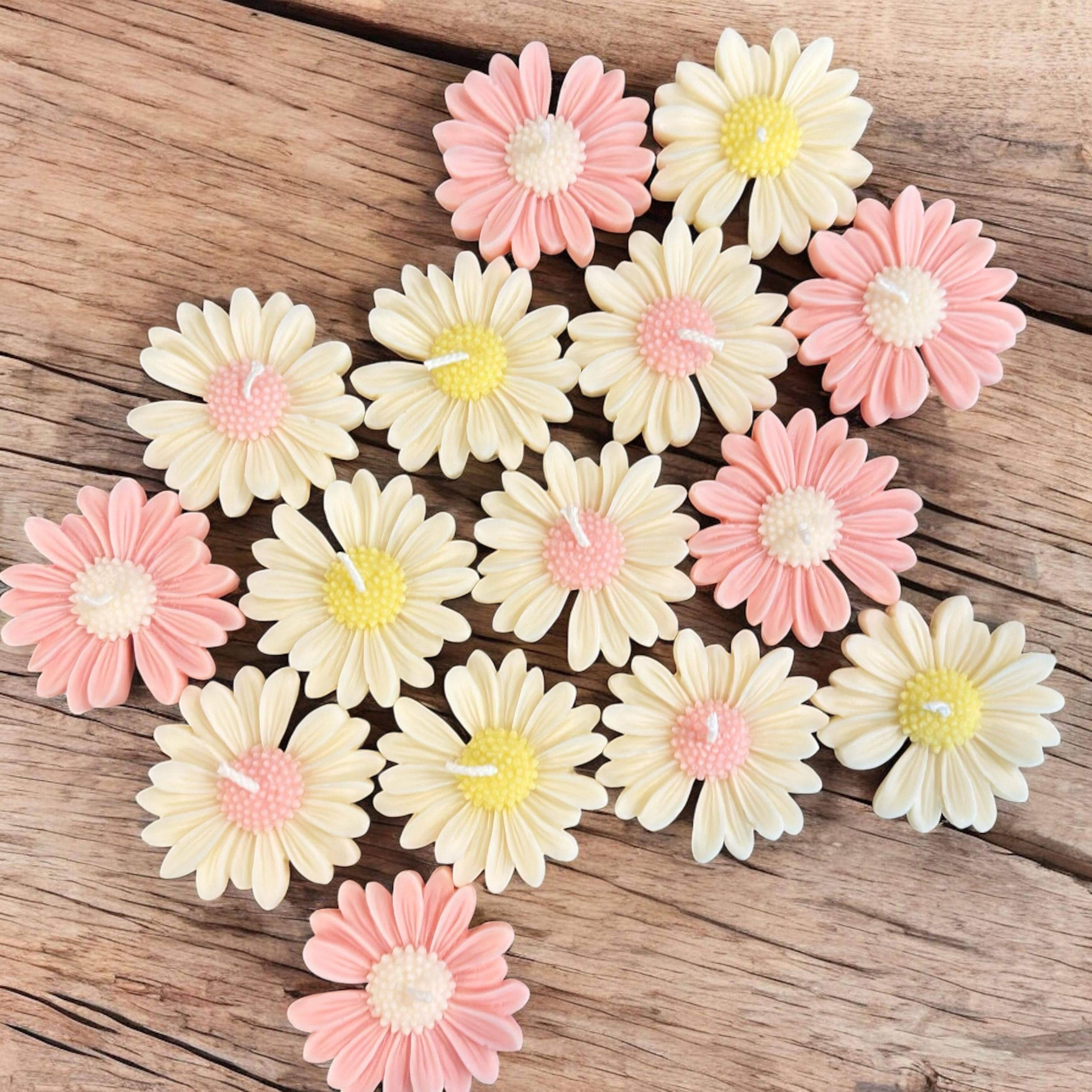 Karly’s Candles - Wholesale Party Favor - Madeliefje Sojakaars Bedankjes voor Bruiloften & Babyshowers3