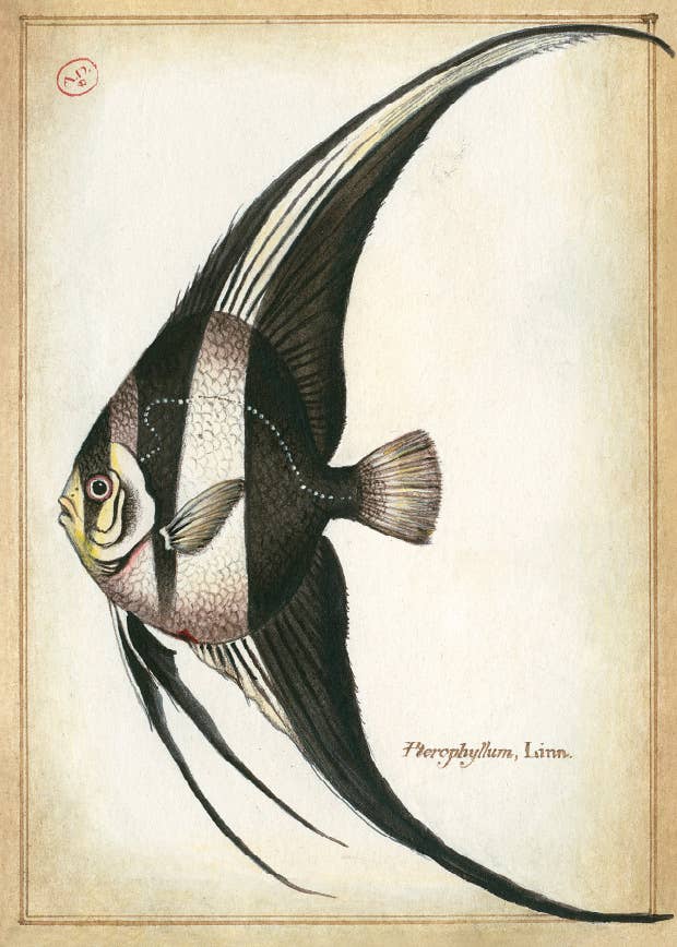 Bomo Art Budapest - Wholesale Everyday Greeting Card - Greeting Card + Envelope53