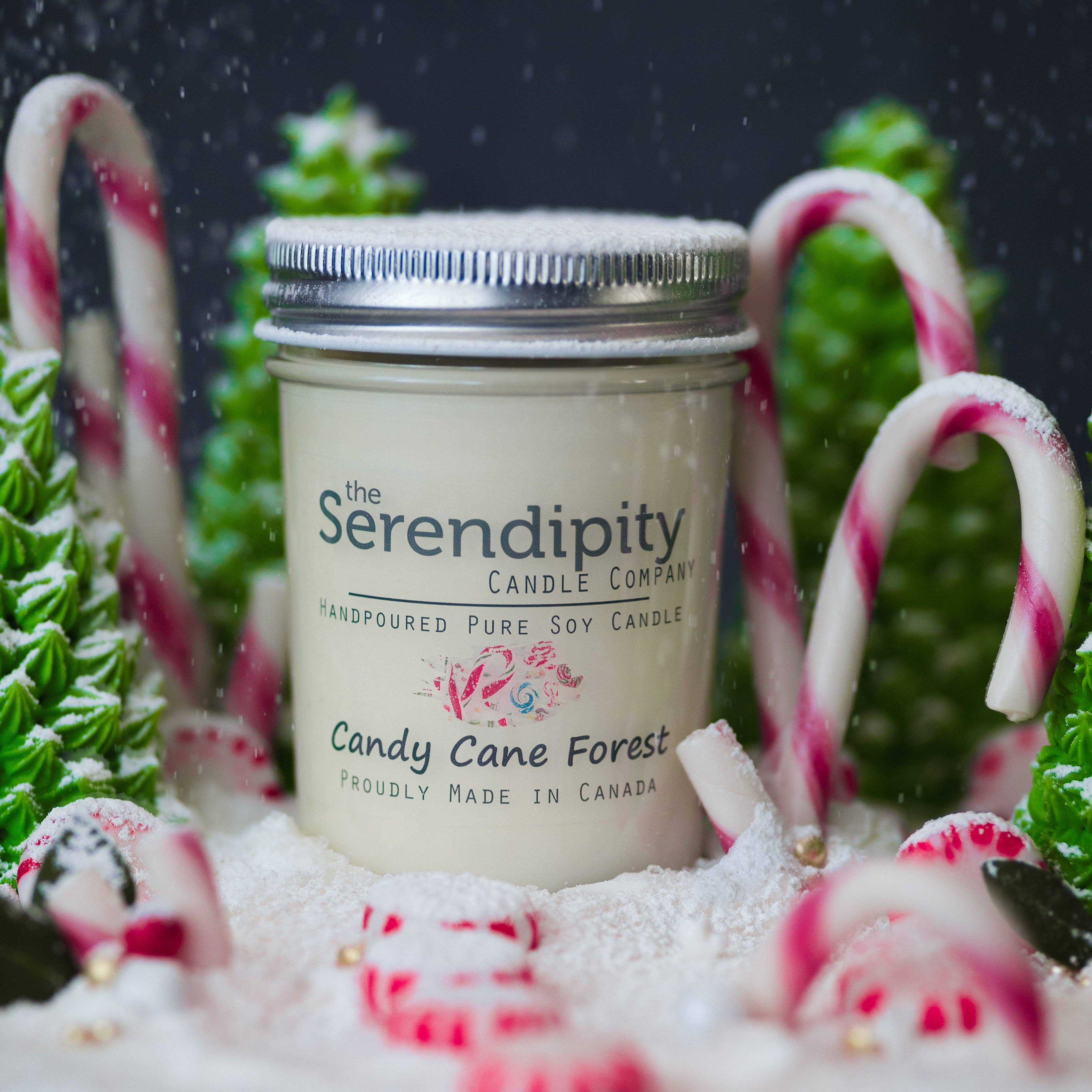 Serendipity Soy Candles - Vente Bougie en bocal - Forêt de canne à bonbons