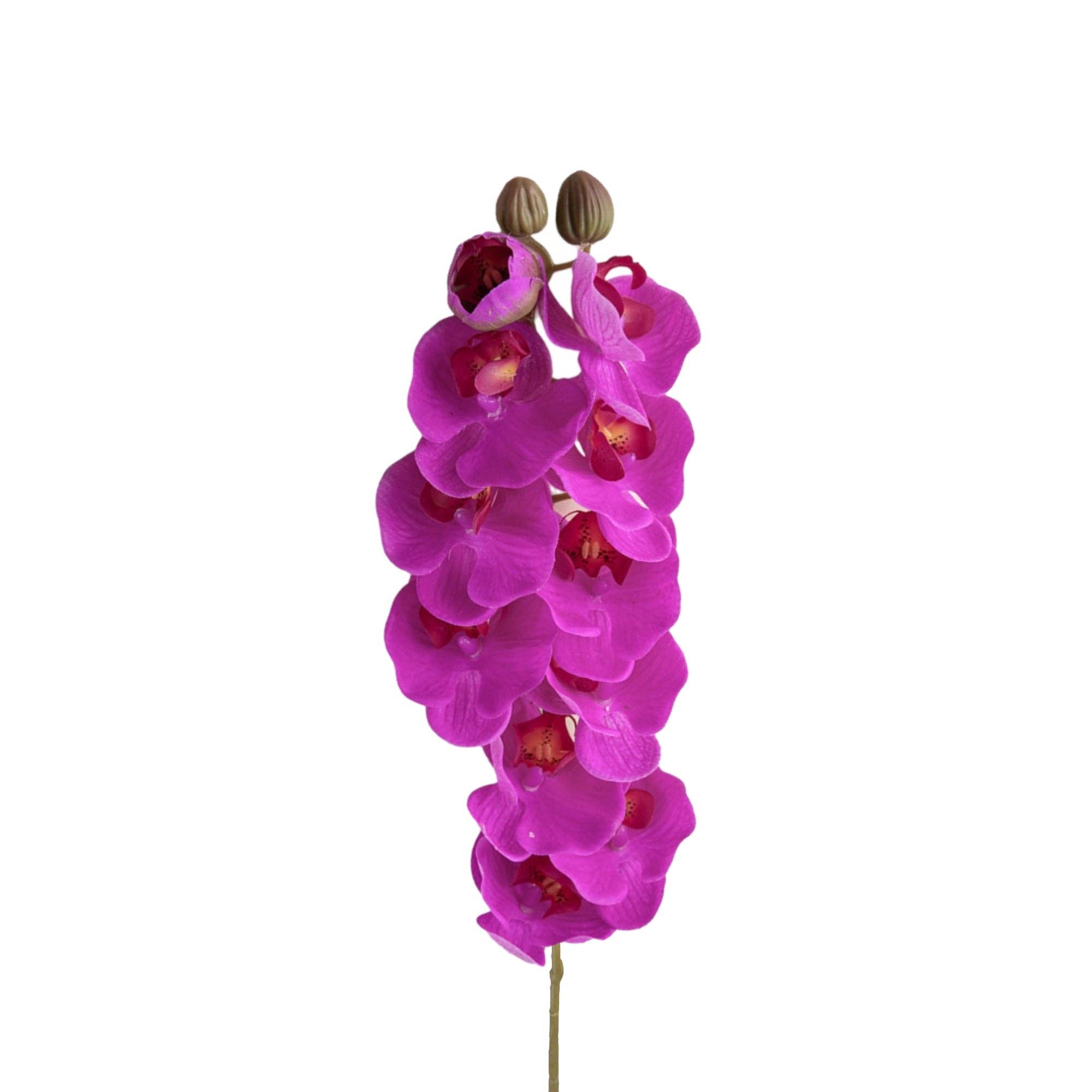 Sun Decorer - Wholesale Artificial flowers - Set of 2 Artificial Phalaenopsis Orchid Stems, 28 inches9