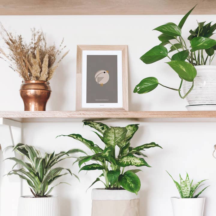 Burones - Wholesale Art Print - Mini Artprint Winterkoninkje1