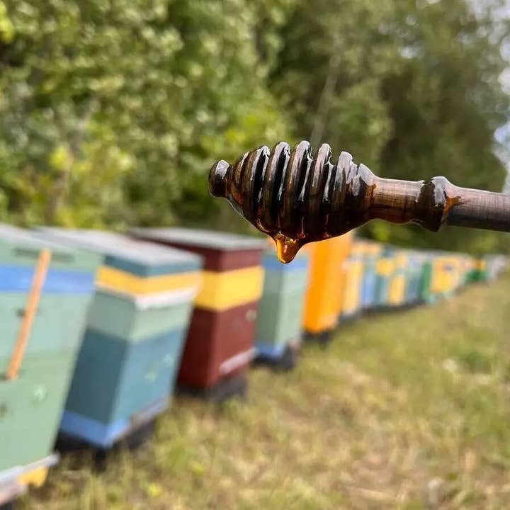 1newtime LLC - Vendita all'ingrosso Collutori - Collutorio alla Propoli, Soluzione Antibatterica per la Salute delle Gengive e l'Alito Cattivo, Cura Orale Naturale Quotidiana5