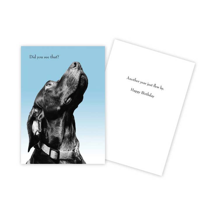 Funny Dog Birthday Card for wholesale by Sun Day Greetings
