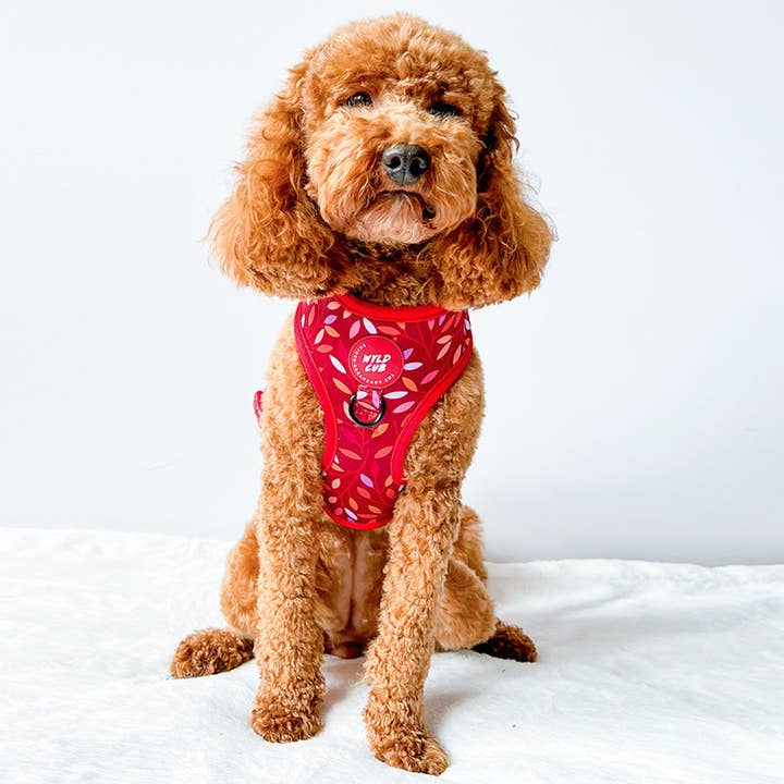 WYLD CUB - Wholesale Pet Harness - Dog - Adjustable Dog Harness: Hampstead Fireside5