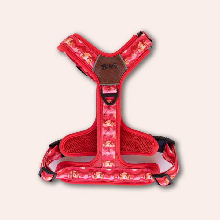 Arnés Adventure Air | Atardecer en Miami para venta al por mayor de Barx