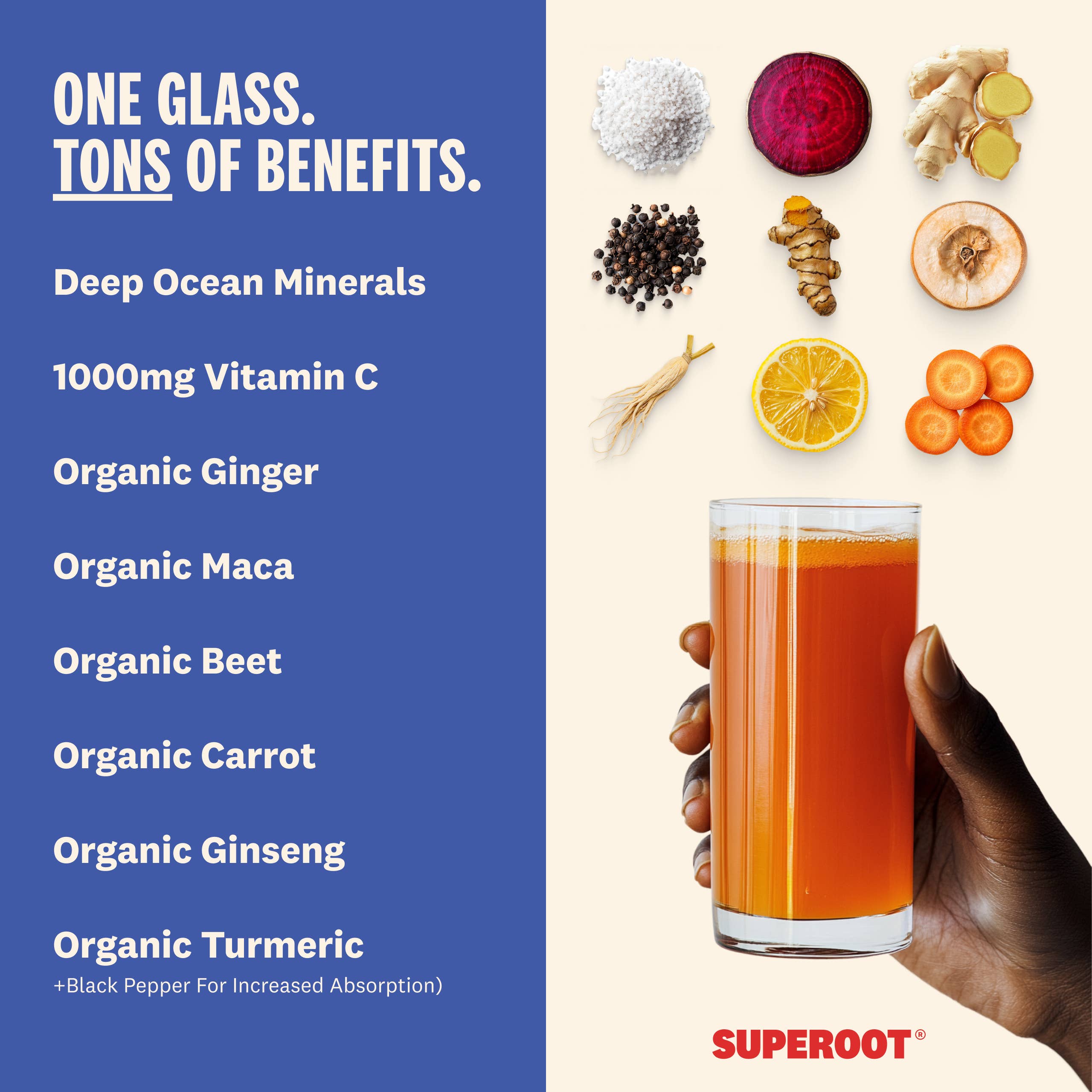 Superoot - Venta al por mayor Proteínas en polvo - Mezcla de Superalimentos para Inmunidad e Hidratación - Bayas Mixtas | 12 unidades2