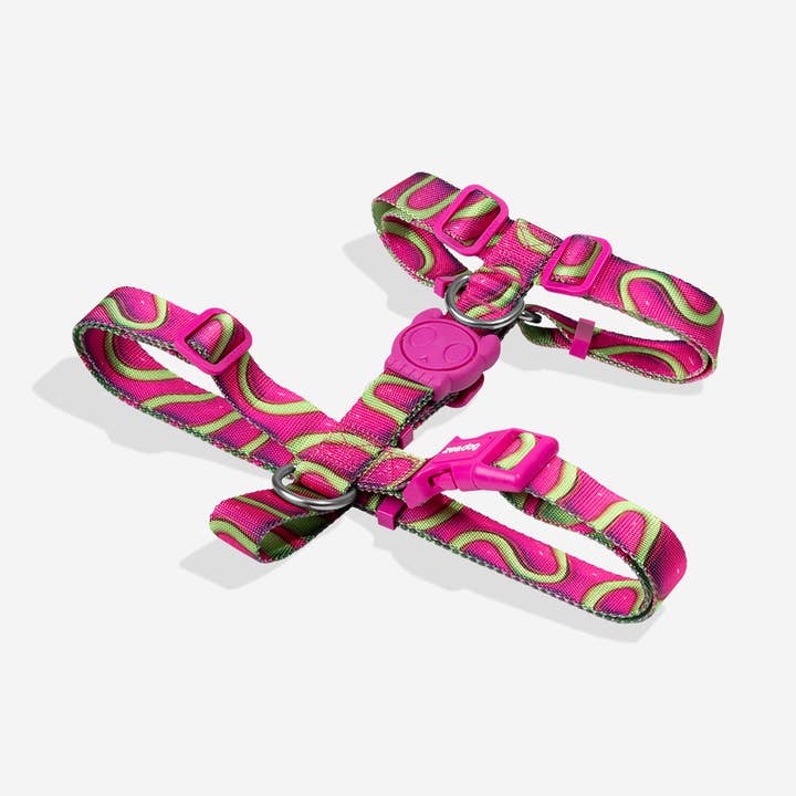 Hundog - Official zee.dog distributor - Wholesale Pet Harness - Dog - H H3D Jelly Harness1