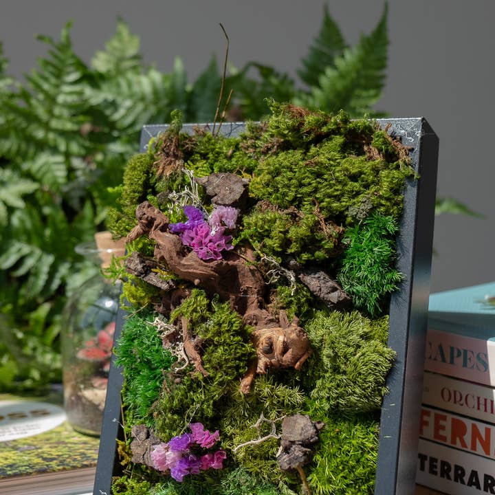 TERRART NYC - Wholesale Wall Planter - Nature's Canvas Moss Wall