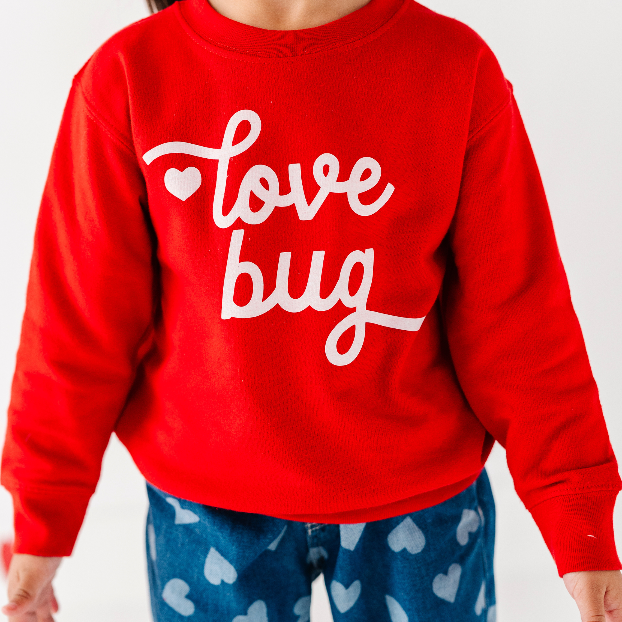 Benny & Ray Apparel - Wholesale Sweatshirt - Kids - Love Bug Valentines Day Sweatshirt kids and Toddlers5