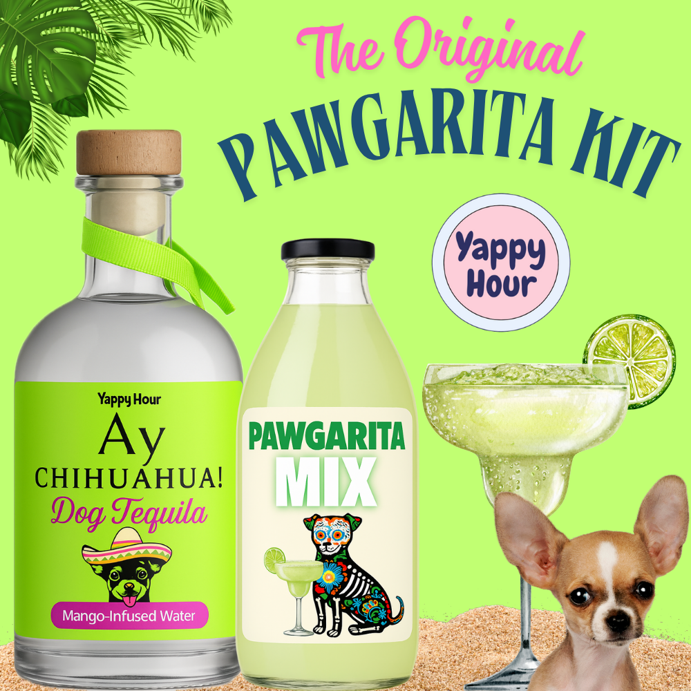 Yappy Hour - Wholesale Pet Treats - Dog - Margarita Kit for Dogs | 6ct | Mango-Cucumber1