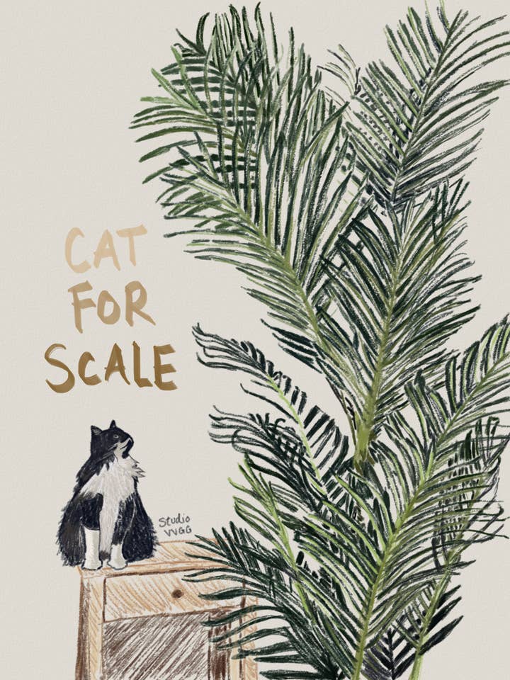 Kat til skala Print for engroshandel hos Studio VVGG