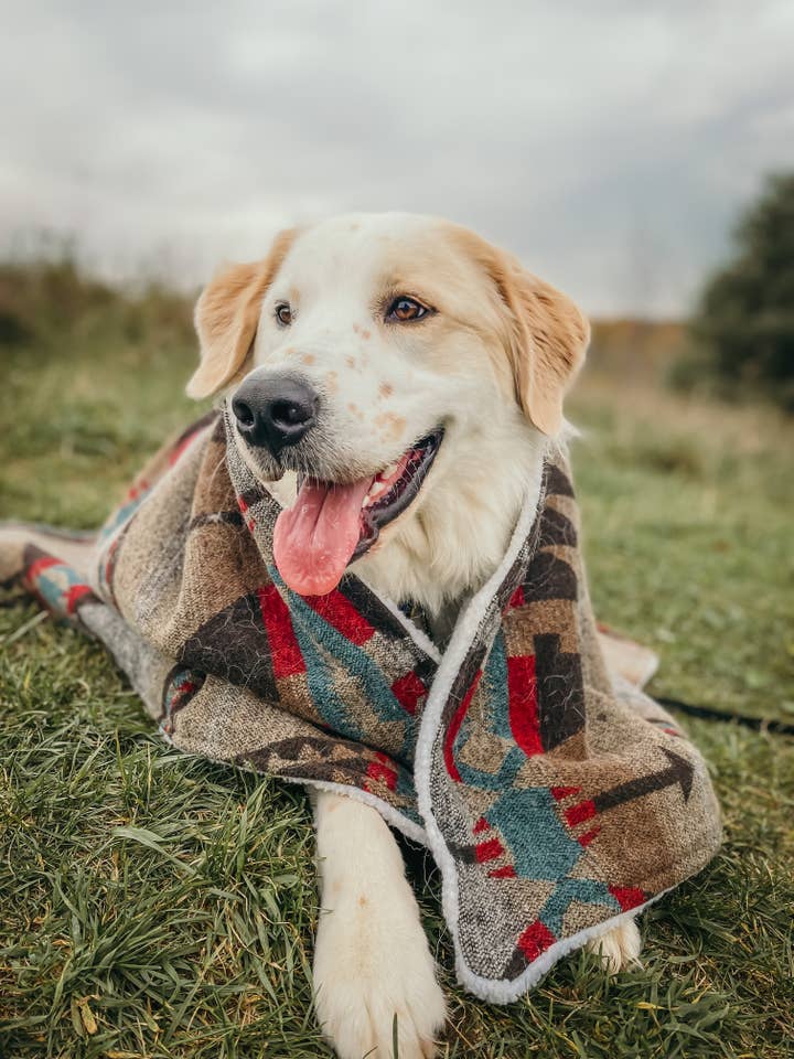 Mystic - tæppe til kæledyr for engroshandel hos Wild Husky co