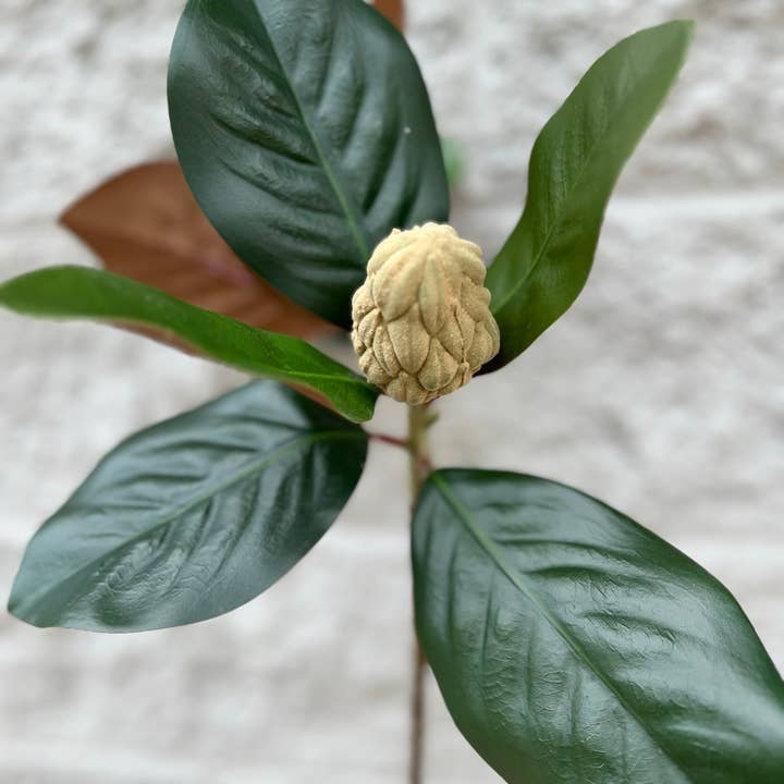 Angel Isabella – Großhandel Kunstpflanzen – 30 Zoll — Lebensechte künstliche Magnolie mit Knospen, Real Touch1