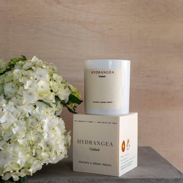 Studio Sol Store - Wholesale Jar/Filled Candle - Hydrangea Candle | Gratitude1