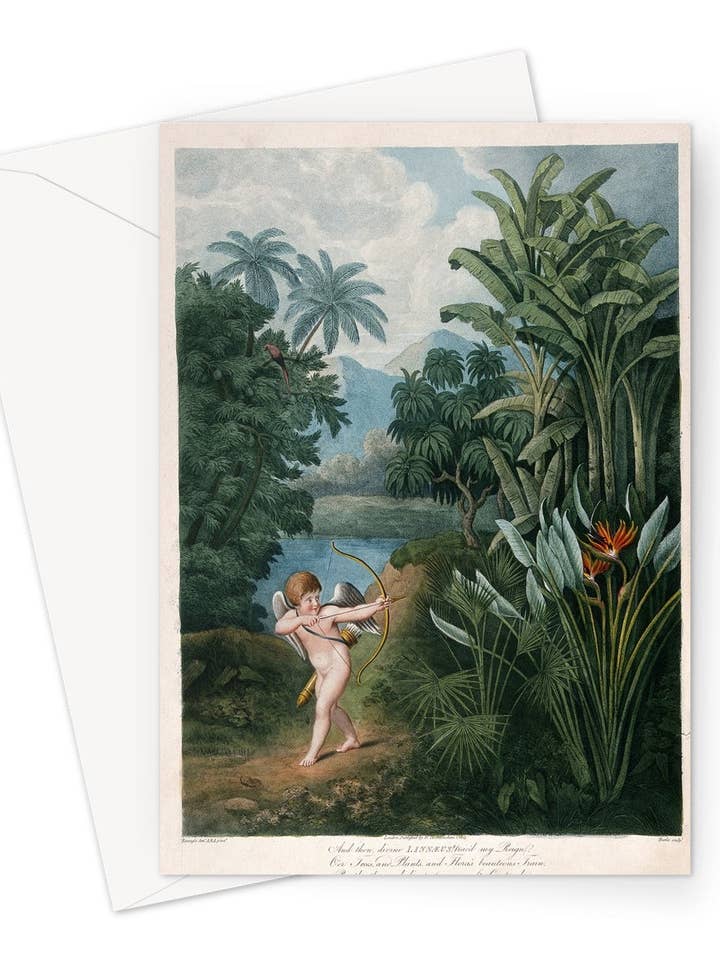 Cupid Inspiring Plants With Love von T.Burke, ca. 1805 - Grußkarte zum Valentinstag für den Großhandel von Flashback Shop