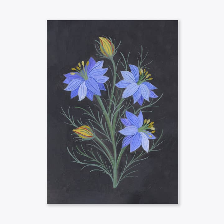 Nigella Mini Art Print for wholesale by Jessi Evans