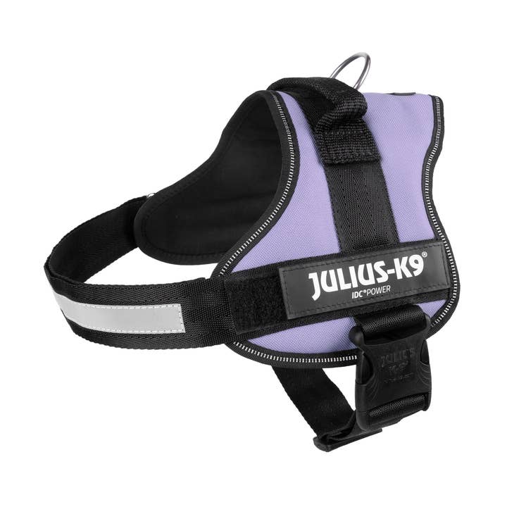JULIUS K9 Power Harnas Paars voor wholesale door SAS DISTRIDOG PRODOG & CO