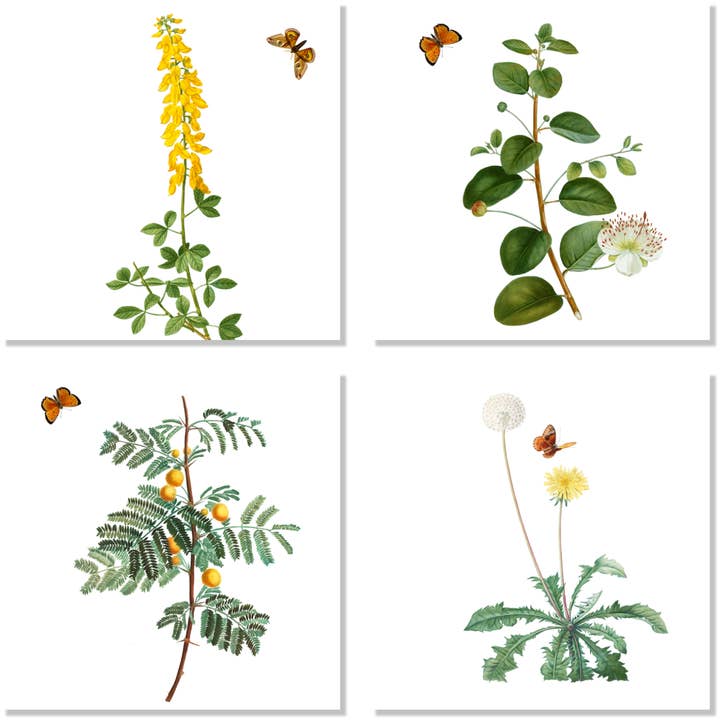 Lot de 4 serviettes «Montedoro» 100% Fabriqué en Italie pour la vente par The Napking