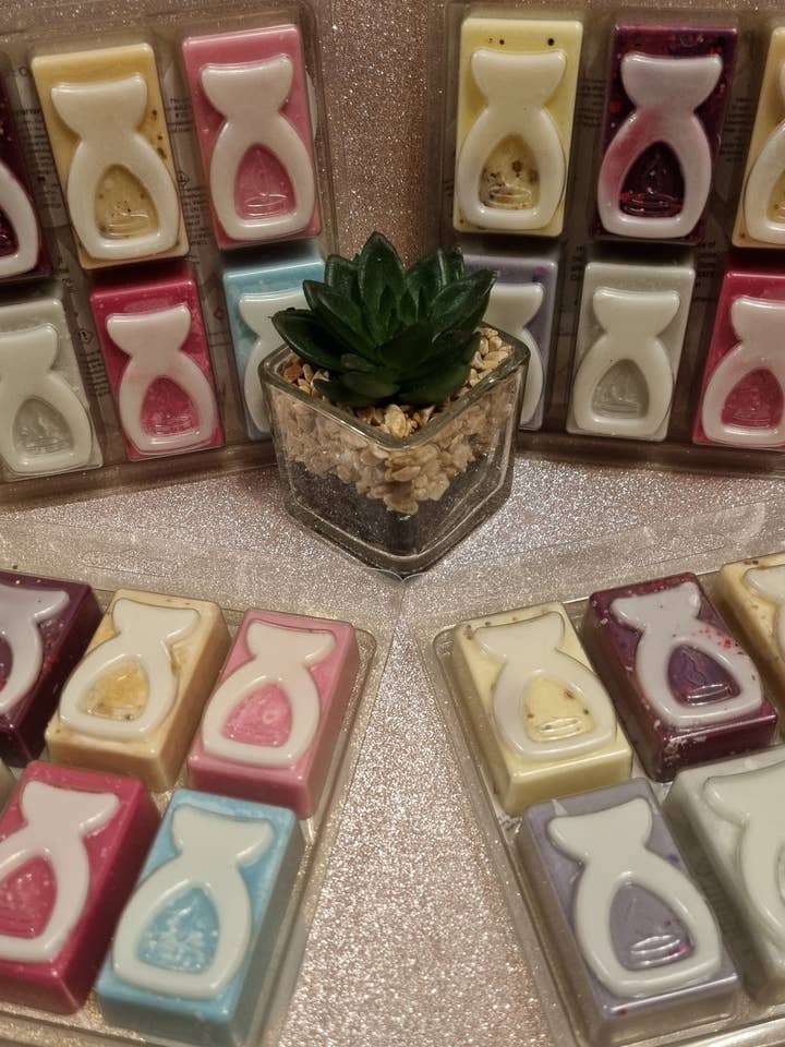 wax melt - 8 cell burner clamshell - perfume collections for wholesale by Aka Designs