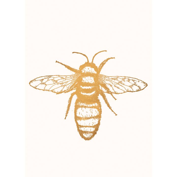 Ape da cartolina per la vendita all'ingrosso da parte di Frohstoff Meike Marie Buchholz