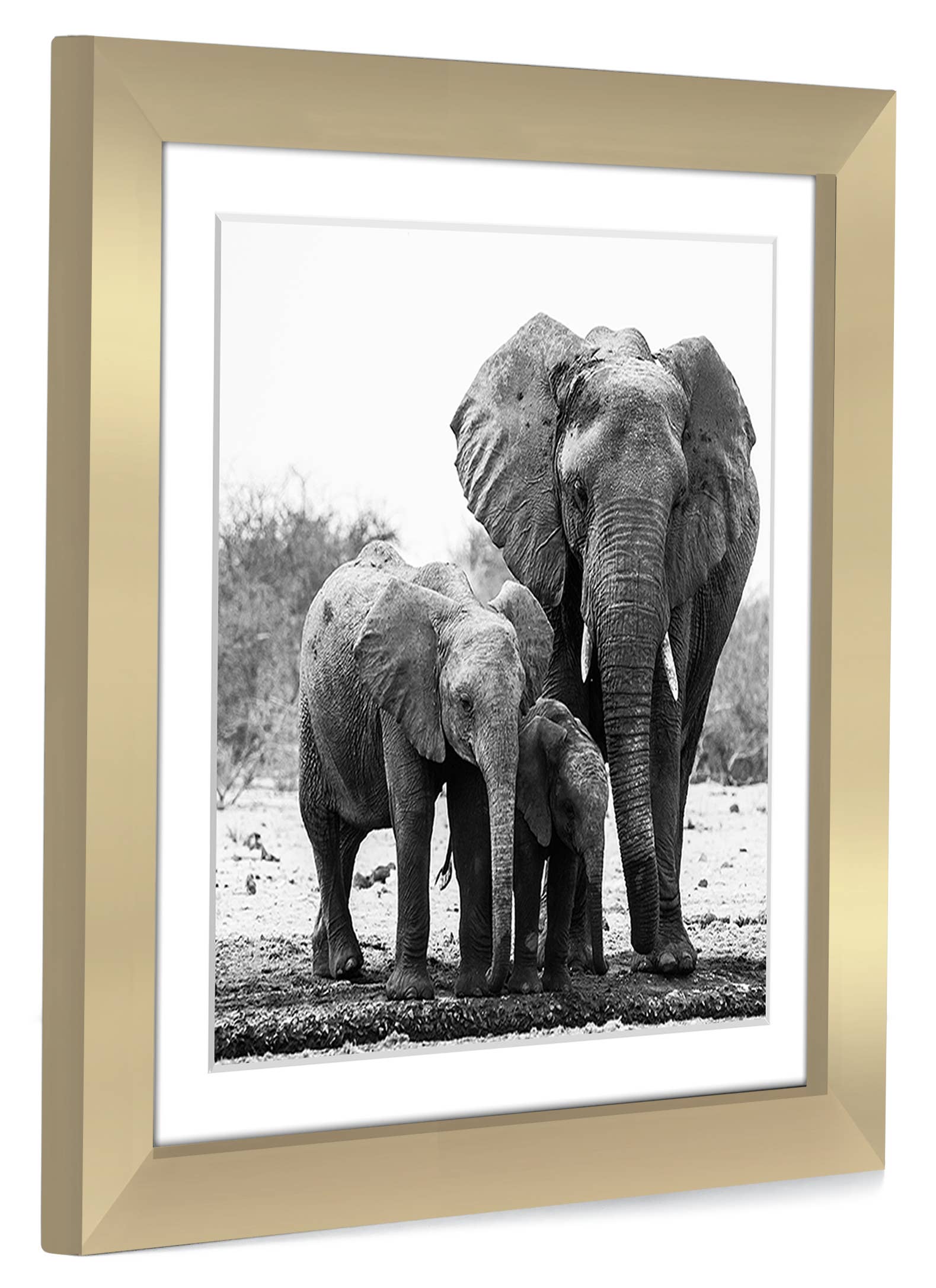 Americanflat - Wholesale Picture Frame - Americanflat Picture Frame with Mat Standard Molding56