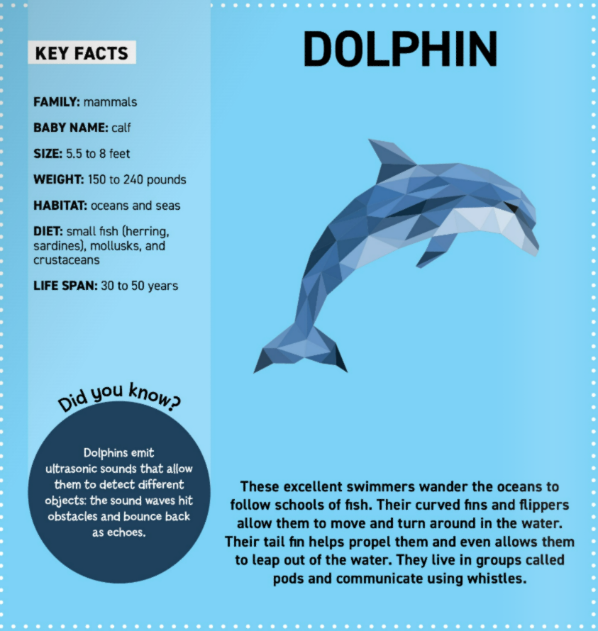 Wellspring - Wholesale Coloring & Activity Book - Kids & Baby - Activity Book - My Sticker Paintings: Ocean Animals2