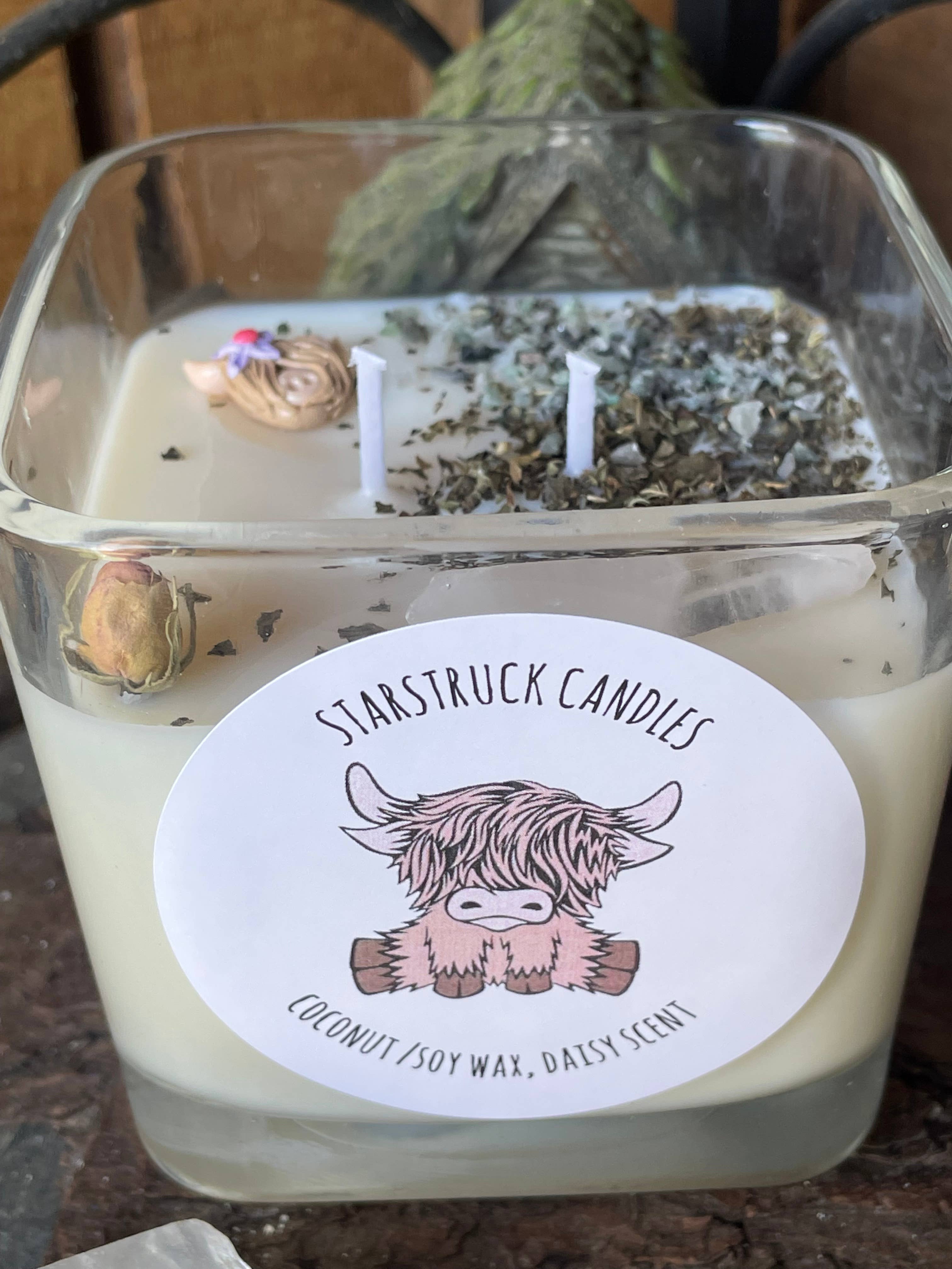 Starstruck Candles - Wholesale Jar/Filled Candle - Highland Cow Spring Candle2