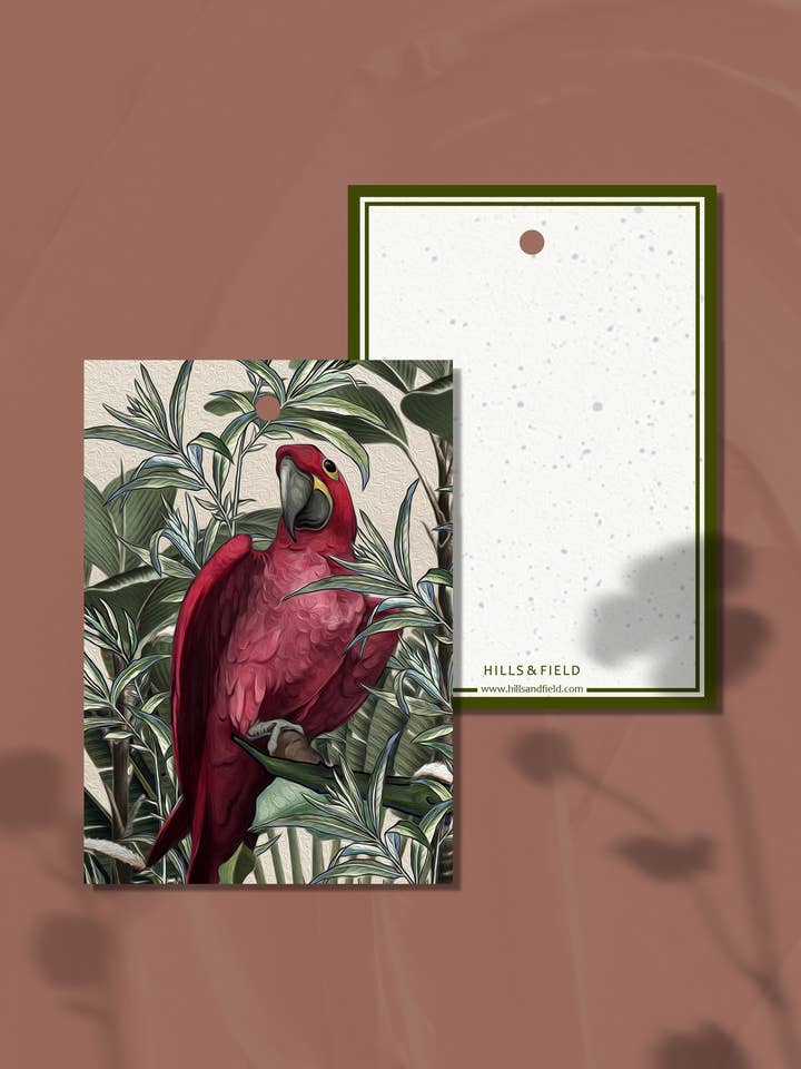 TAQUETA DE PRESENTE | Papagaio - back page em branco por atacado de Hills & Field