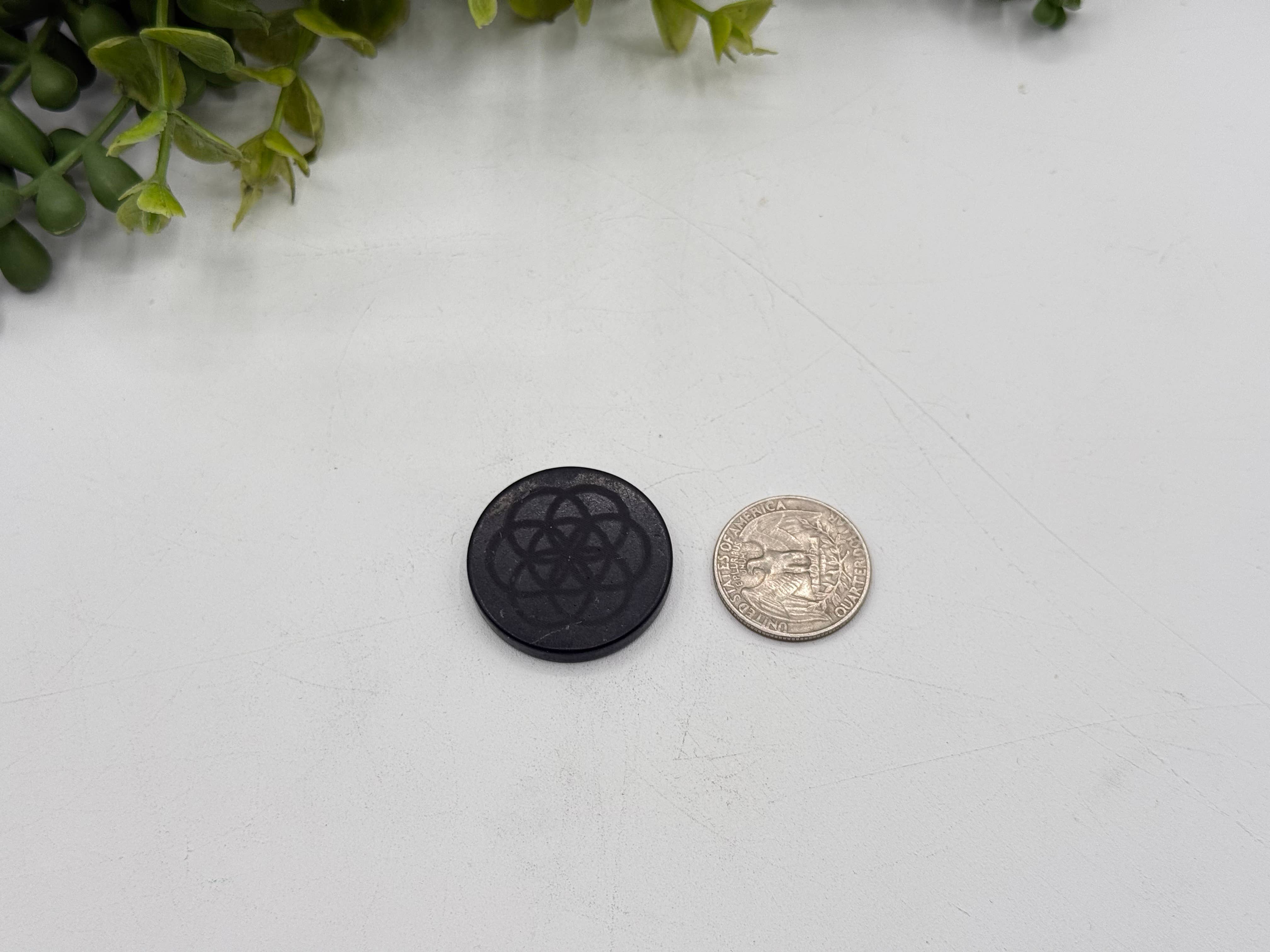 Meraki Gemstones - Wholesale Spiritual Stone/Crystal - Shungite EMF Cell Phone Tile Engraved Seeds of Life 30MM3