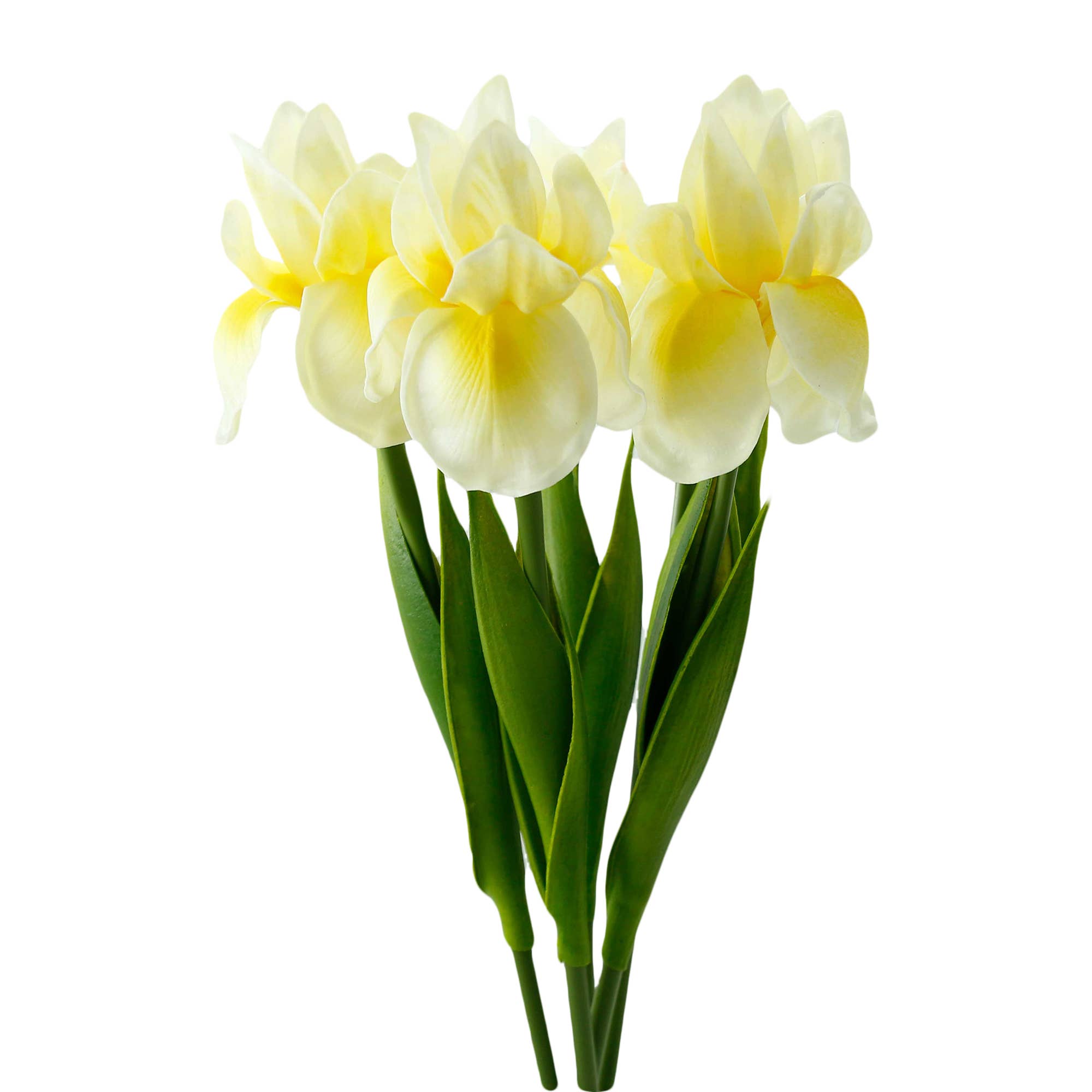 Angel Isabella - Wholesale Artificial Flowers - 18"-Ultra Soft Real Touch Bearded Iris Stem3