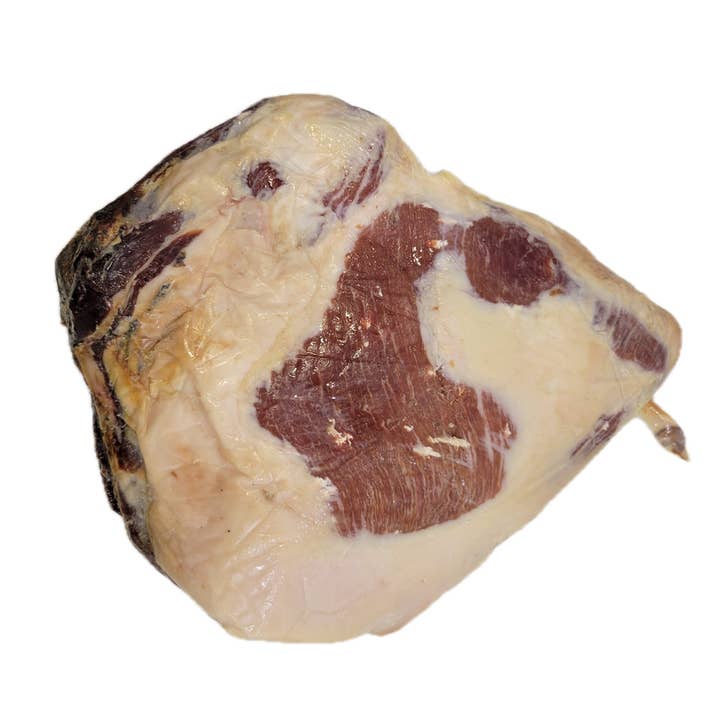 Little Shorty for wholesale by Lady Edison