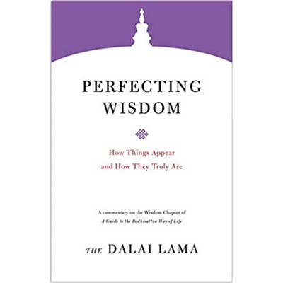 Perfecting Wisdom: How Things Appear and How They Truly Are for wholesale by Microcosm Publishing & Distribution