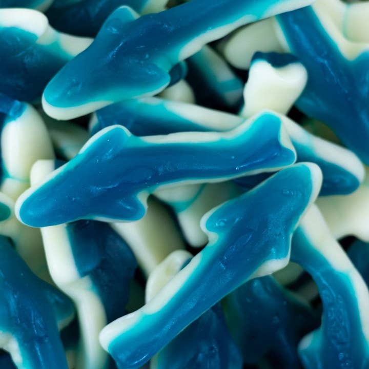 Swedish Foam Sharks 2.2lbs for wholesale by Sweetish- Swedish Candy Wholesale