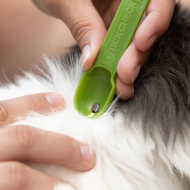 TickCheck - Wholesale Pet Grooming Tool - Dog - TickCheck Tick Remover Spoon 3 Pack- 12pc Hang Strip Display11