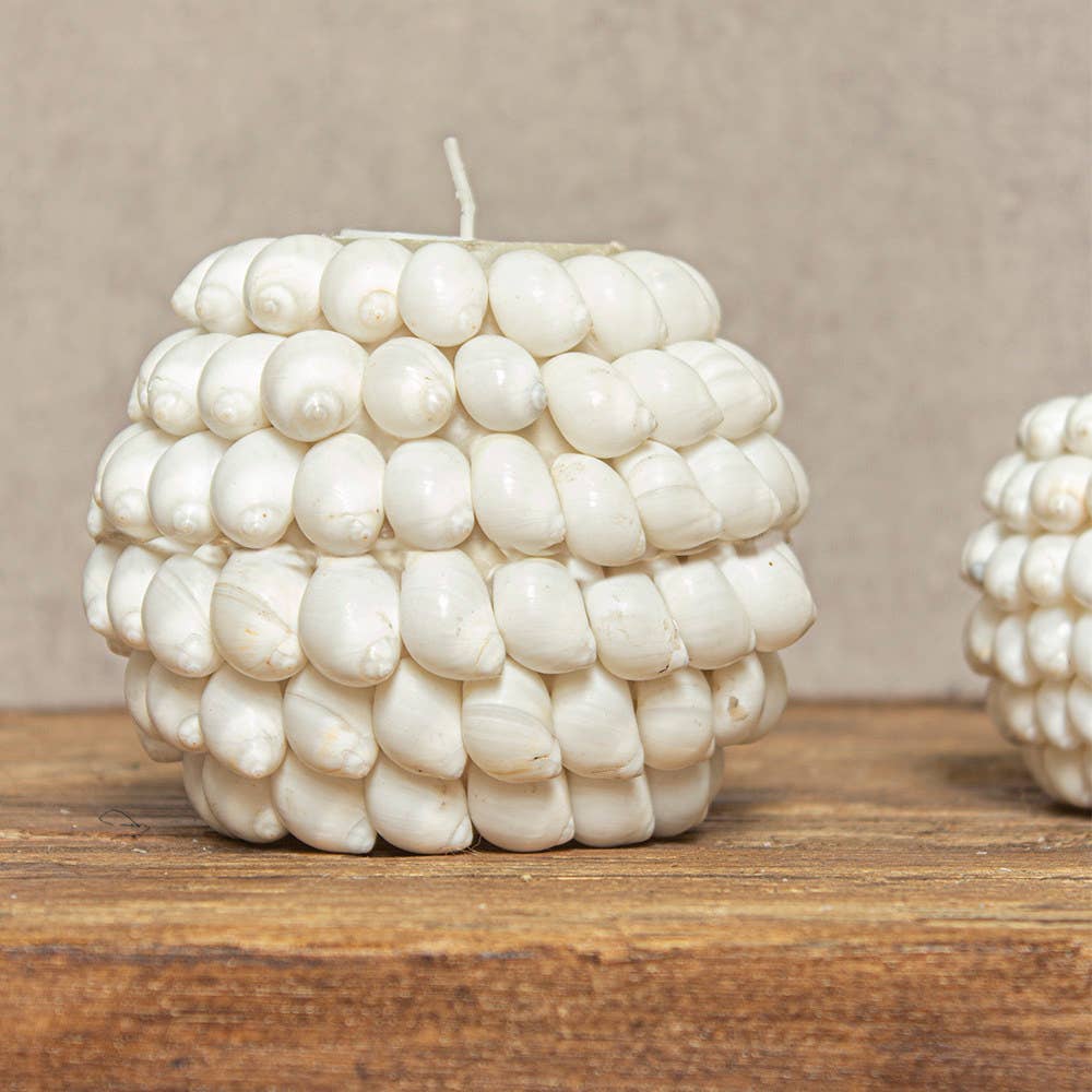 EARTHWARE - Wholesale Candle Holder - Shell tealight holder Ayu M1