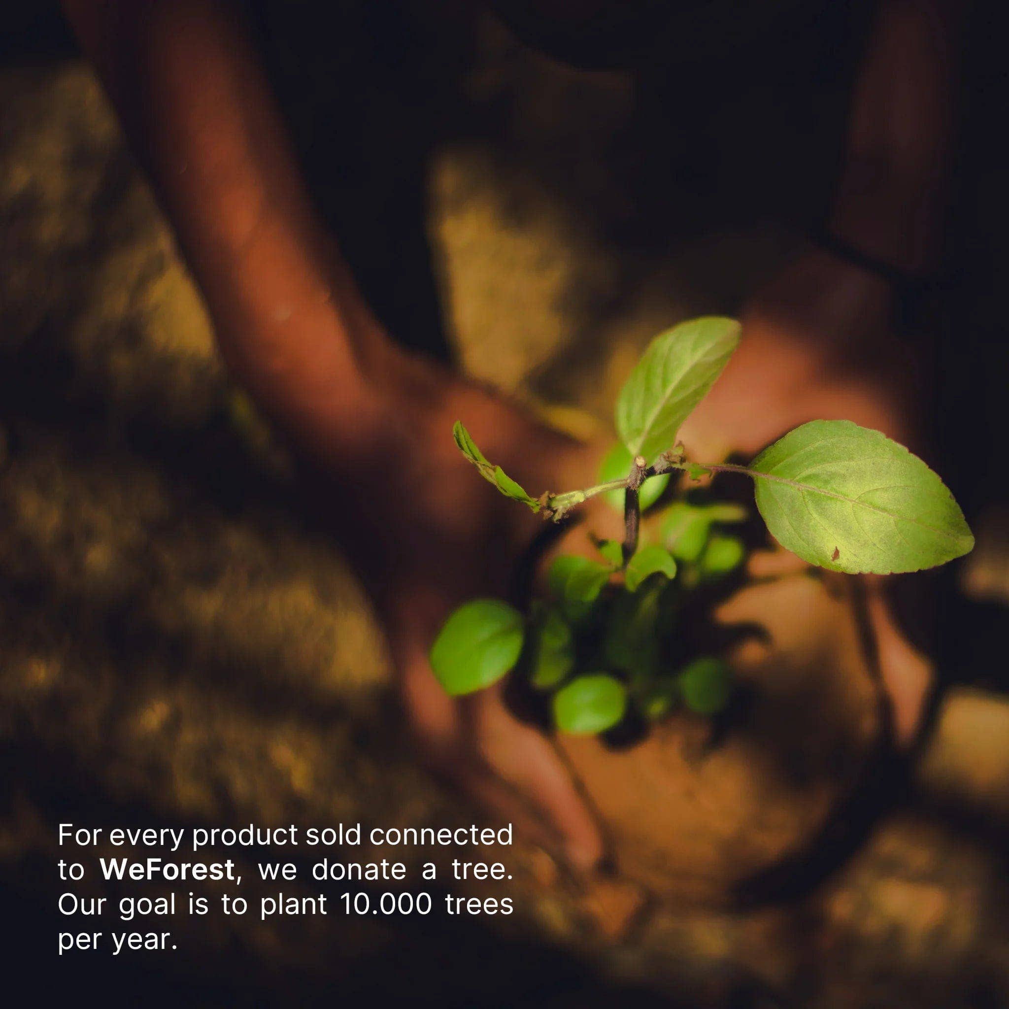 agood company - Wholesale Assorted Cutlery Set - Bamboo Cutlery1