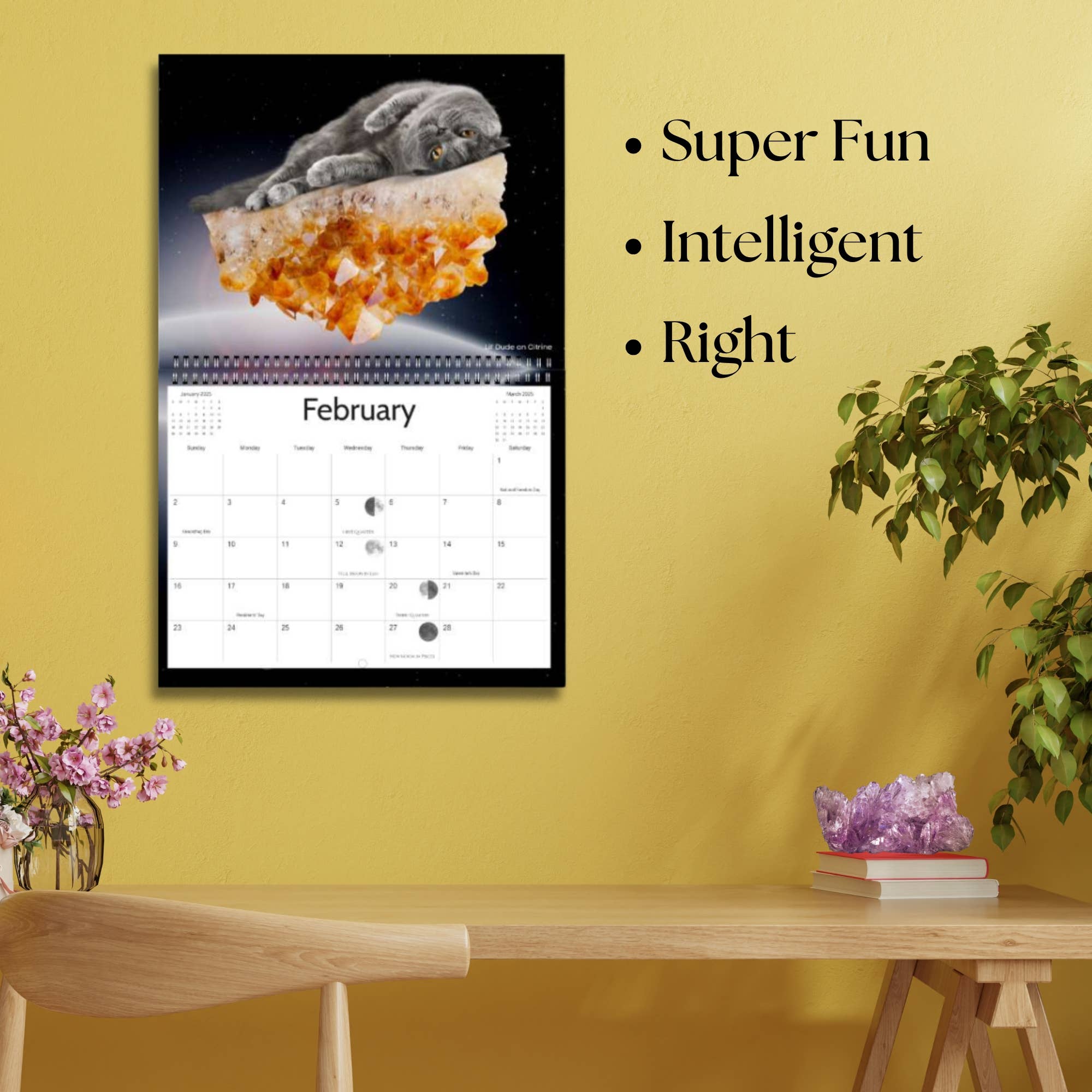 Calendar Magic Co. – wholesale Calendar – CATS RIDING ON CRYSTALS 2026 Calendar5