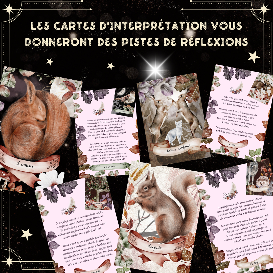 Les Moonettes – wholesale Tarot cards – Oracle of the Moon Animals (20 Cards)4