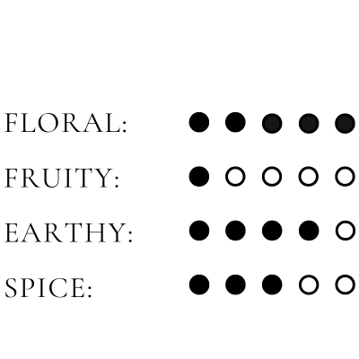 Efori - Wholesale Parfum/Eau de toilette - CONNECTION eau de parfum 50 ml2