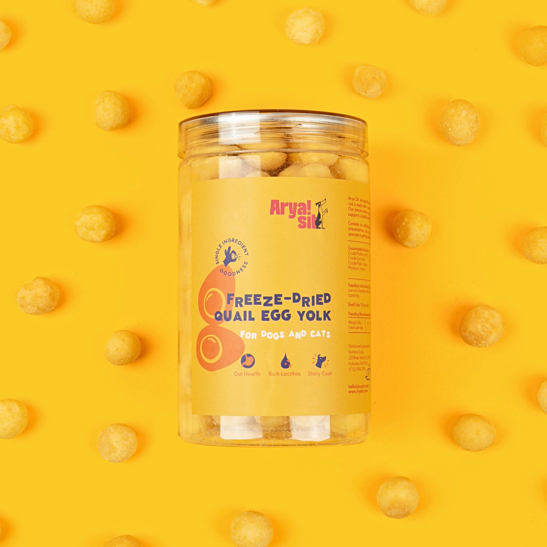 Arya Sit! - Wholesale Pet Treats - Dog - Freeze-Dried Egg Yolk1