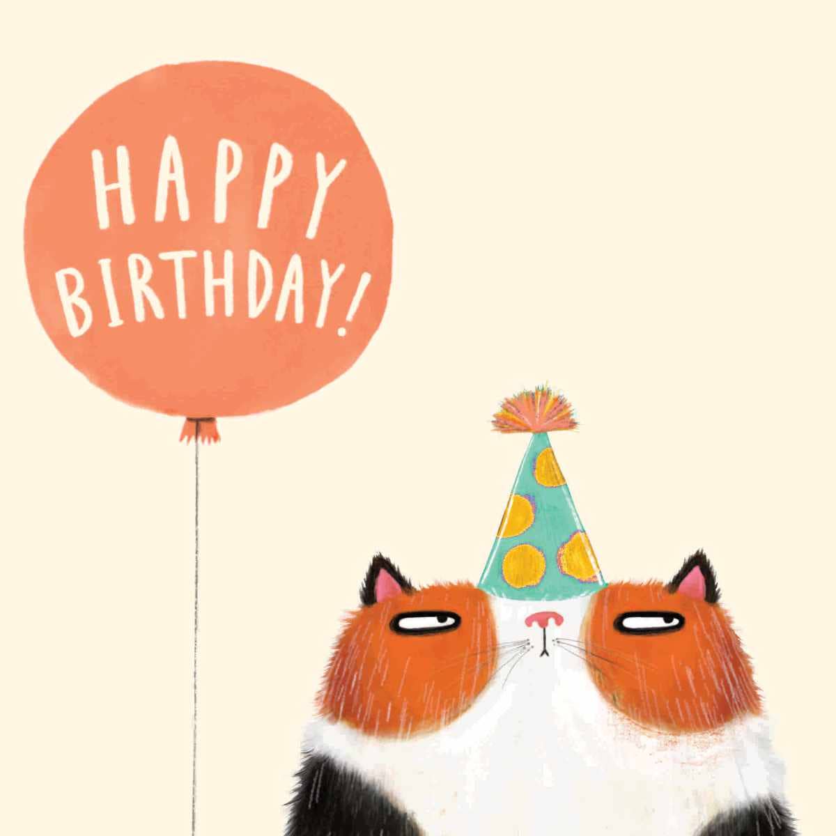 Charley Rabbit Cards - Venta al por mayor Tarjetas de cumpleaños - Tarjeta de cumpleaños de gato | Tarjeta de cumpleaños divertida de gato | Gato lindo1